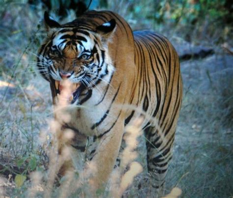 World Nature Conservation Day - Hello Travel Buzz