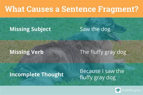 Example of Sentence Fragment Examples 的图像结果