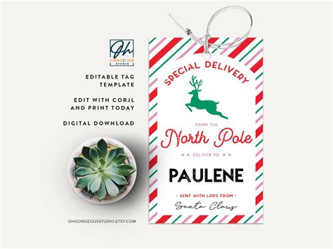 Printable North Pole Special Delivery Tag Template Editable - Etsy