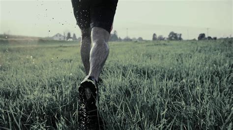 BSG Tutorial 的图像结果