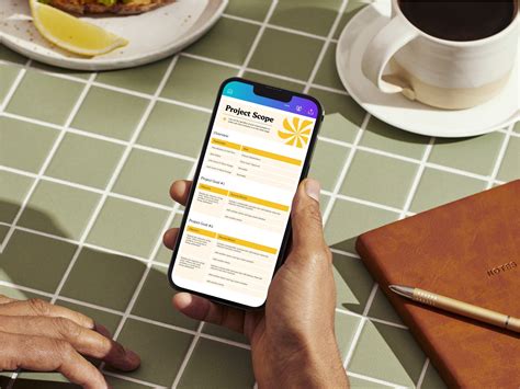 Scope Software Project 的图像结果