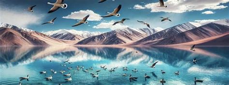 Travel Guide for the Pangong Lake | Travel Ride