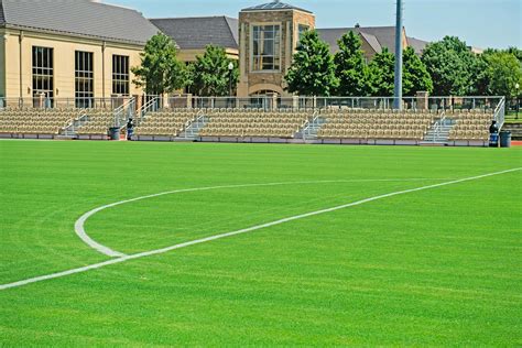 Crowned Sportsfield 的图像结果