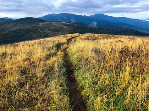 Carvers Gap to 19E: The BEST hike on the Appalachian Trail in NC
