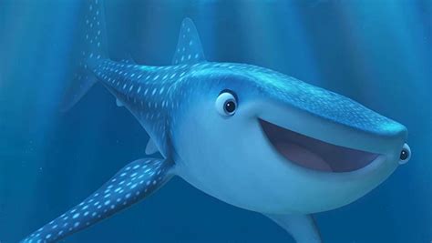 Whale Shark Teeth Ocean Dental Lawton Did You Know?🌊🦈 A