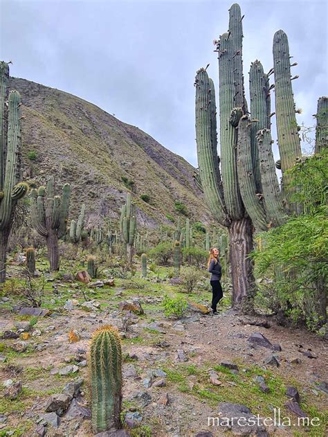 3-Tages Tolar Grande Tour: die Puna bei Salta, mein Highlight in ...