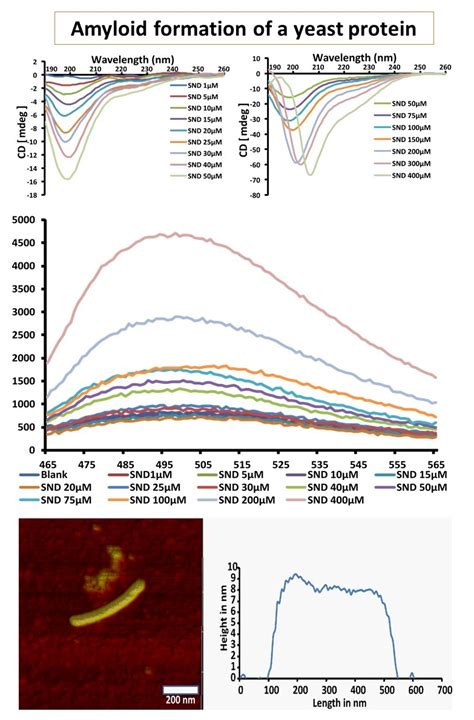 Molecular Biophysics Laboratory - IITH