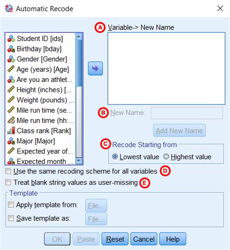 SPSS Recode Variables 的图像结果