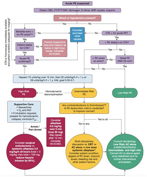 Pulmonary Embolism Algorithm 的图像结果