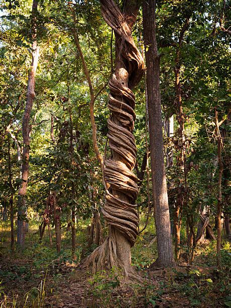 Image result for Hand Strangle Website