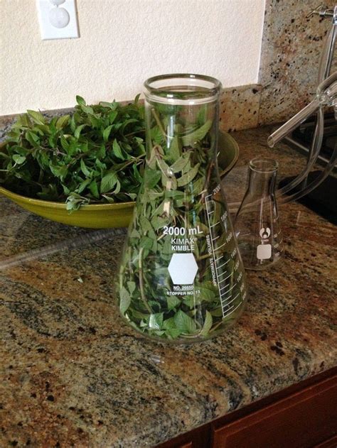 extraction of essential oils