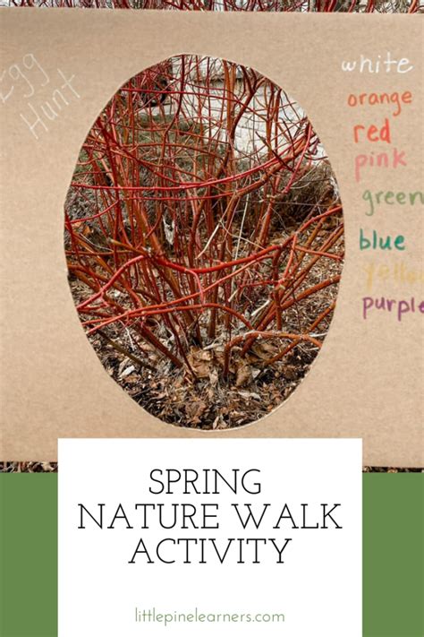 Image result for Spring Fun Walk