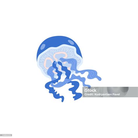Blue Floating Translucent Jellyfish Aurelia Aurita Stock Illustration ...