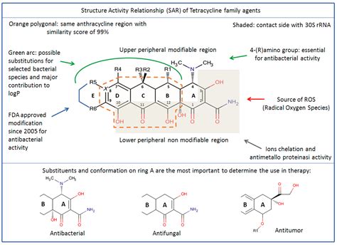 Classification Framework and Chemical Biology of Tetracycline-Structure ...