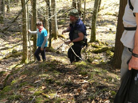 Mountains to sea trail at craven gap – Artofit