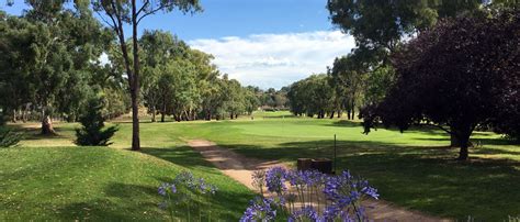 Image result for Bathurst Course