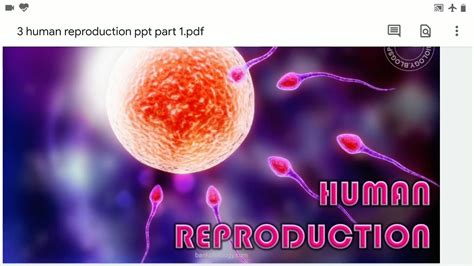Image result for Human Reproduction YouTube
