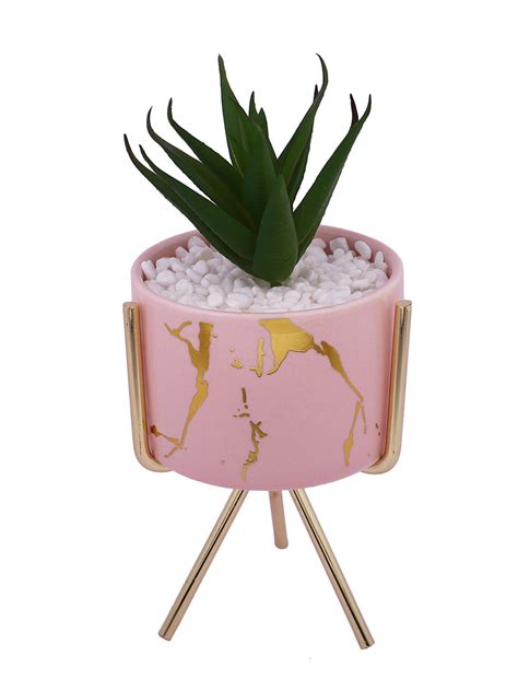 Buy Tayhaa Aloe Vera Plant Pink & Gold Ceramic Pot with Metal Stand Online