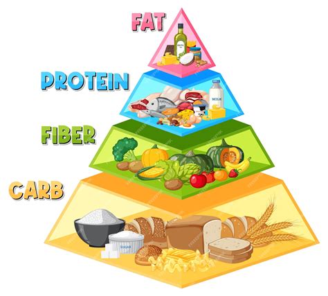 Premium Vector | Cartoon food pyramid infographic a nutritional guide