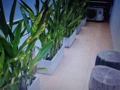 B&B DREAM BANGKOK - Hostel Reviews & Photos - Tripadvisor