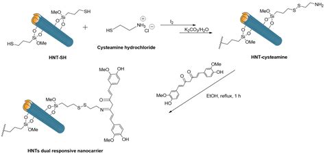 Past, Present and Future Perspectives on Halloysite Clay Minerals