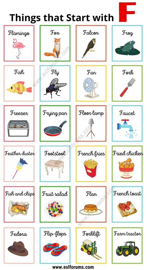 Best 13 Things that Start with Q: Everyday Objects, Foods, Animals, and ...