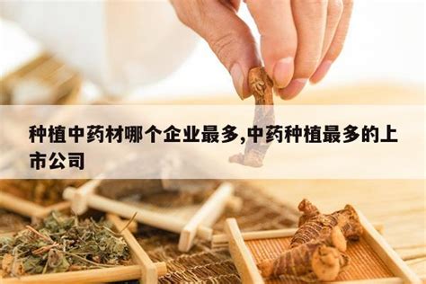 中药材种植成甘肃新名片 - 广东省中草药产业协会