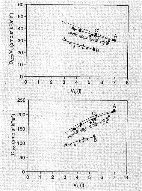 Image result for What Is Co Diffusing Capacity
