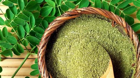 7 untold facts about moringa? How to add it to the summer diet