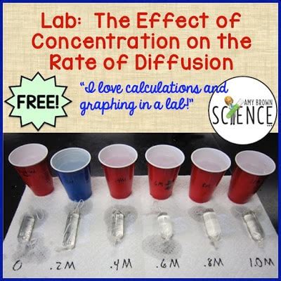 Image result for Diffusion Lab