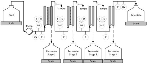 Model-Based Design and Process Optimization of Continuous Single Pass ...
