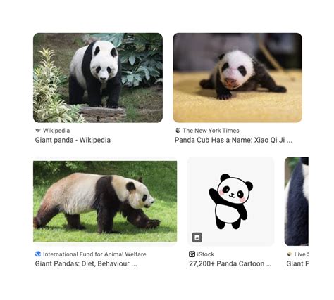 Image result for Google Image Search API Python