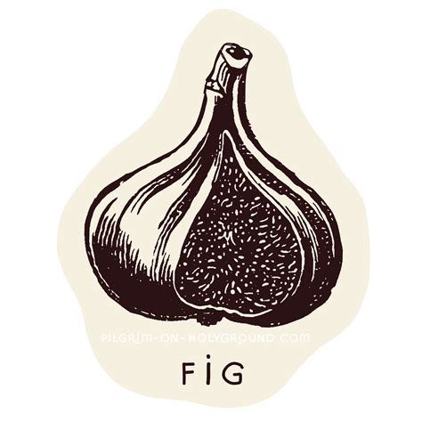 Fig tree in the bible, Plants mentioned in the Bible Old New testament