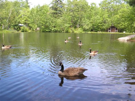 What Campground In Massachusetts Closed In 2017