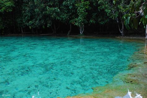 Tiger Cave Temple, Emerald Pool & Hot Springs Tour from Krabi – Full ...