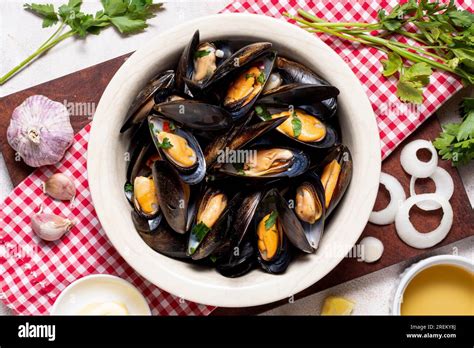 Image result for Musselshell High Resolution