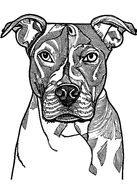 Dog Coloring Pages Printable Pit Bull Coloring Pages