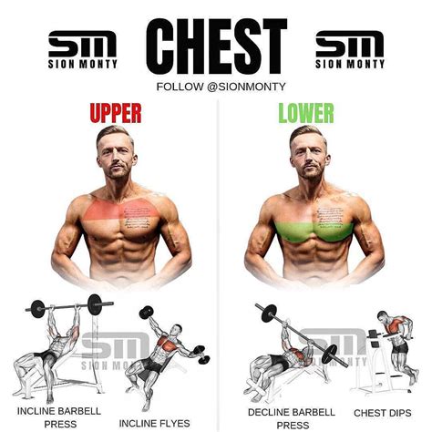 What Are Exercises For The Chest at Daniel Mcbryde blog