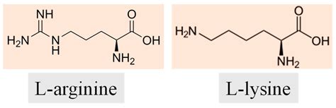 In Vitro Antiviral Activity of Hyperbranched Poly-L-Lysine Modified by ...
