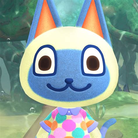 Mitzi (Mangrove Cove) | Animal crossing, Purrfect, Character