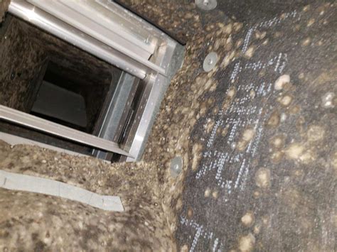 Mold Inside Your Air Conditioning (HVAC) Unit? Oh-No! - IAC - Indoor ...