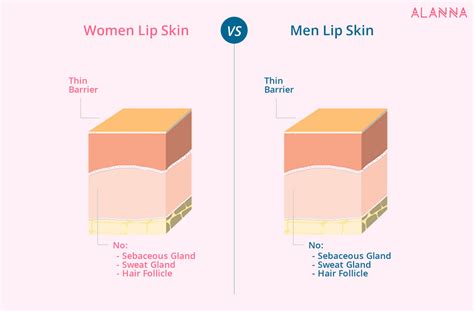 Lip Care : Everything to know from regimen to routine | ALANNA