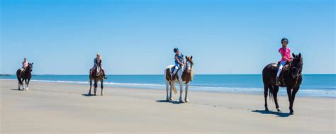 Horseback Riding In The Golden Isles | Riding Instructors
