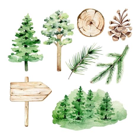 Aquarell Tutorial Wald 的图像结果