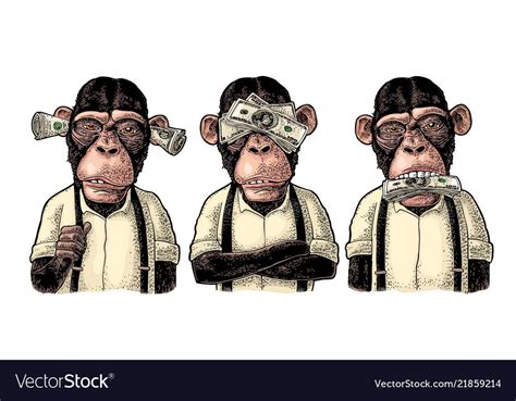 Three Wise Monkeys Vector Image