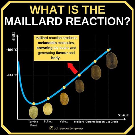 Coffee Roasters & Cafe Daily on Instagram: "Maillard Reaction is the ...