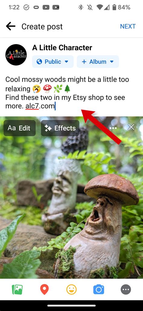 Image result for Facebook Page Post