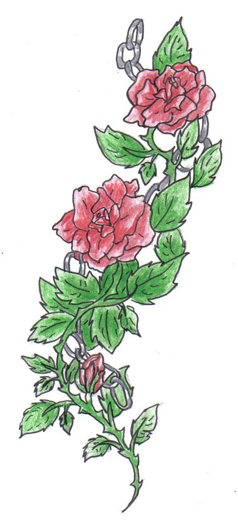 Rose Vine Drawing at GetDrawings | Free download