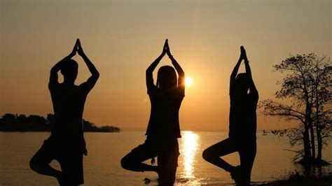 International Yoga Day 2021: Theme, history, significance, how to ...