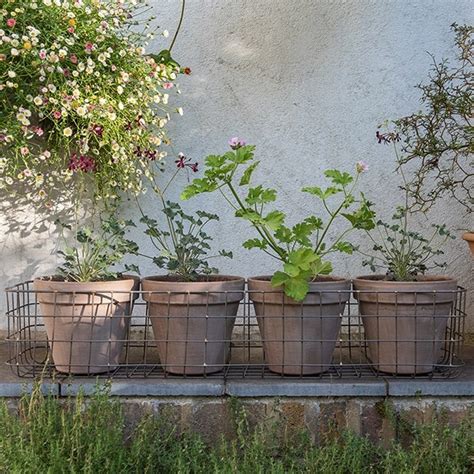 Buy Classic grey Italian terracotta pot: Delivery by Waitrose Garden